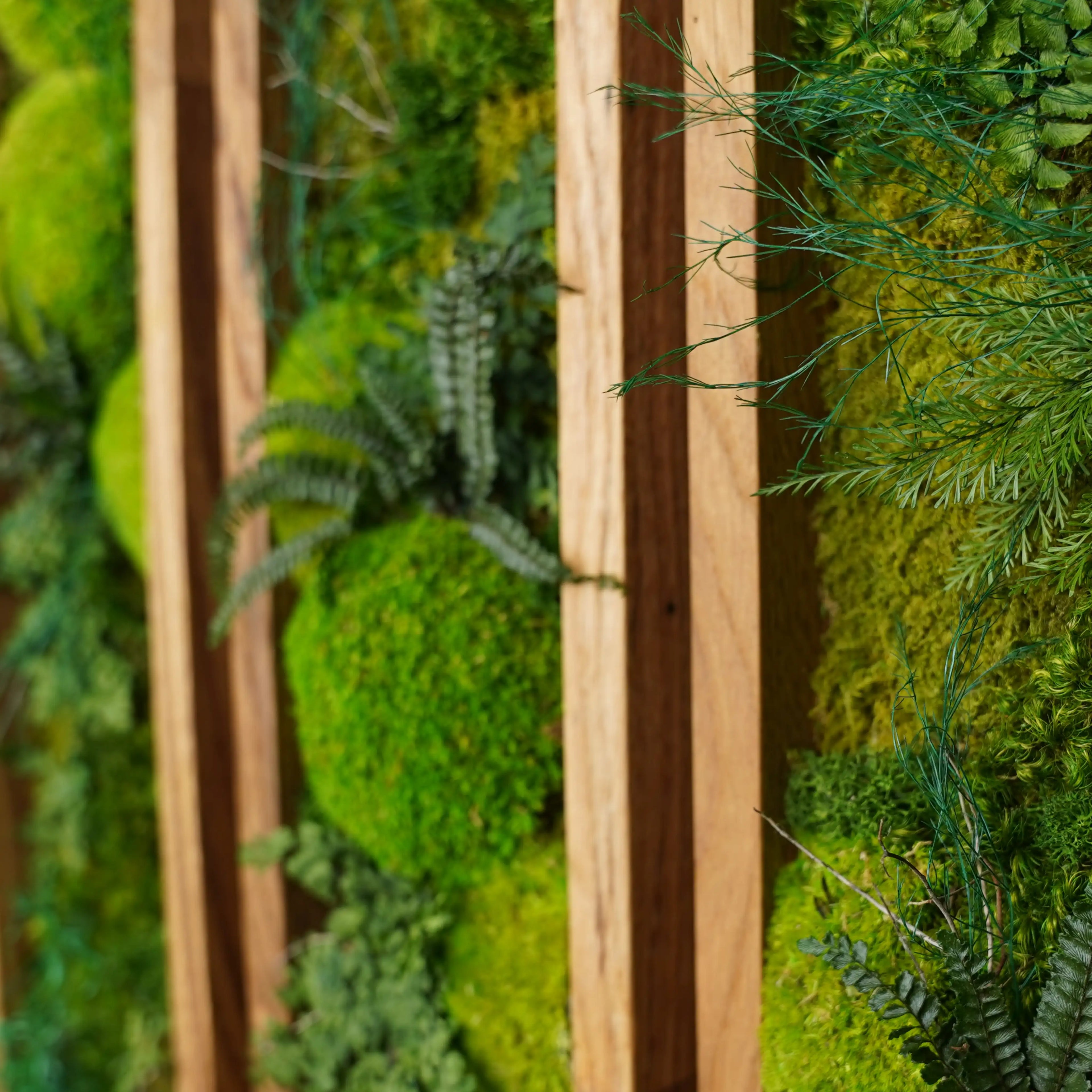 Dreiteiliges Moosbild „Triptychon“ in einem Holzrahmen - eine grüne Wanddekoration aus echten Moosen und Pflanzen für moderne Innenräume - Detailansicht.