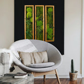 Dreiteiliges Moosbild „Triptychon“ in einem Holzrahmen - eine grüne Wanddekoration aus echten Moosen und Pflanzen in einem hellen Wohnzimmer. 