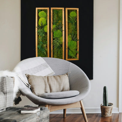 Dreiteiliges Moosbild „Triptychon“ in einem Holzrahmen - eine grüne Wanddekoration aus echten Moosen und Pflanzen in einem hellen Wohnzimmer. 