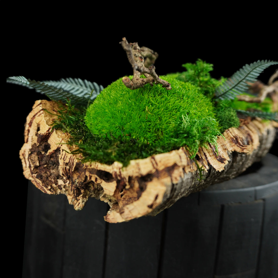 Moosgarten ‚Bubble‘ - handgemachte Tischdekoration aus stabilisierten grünen Moosen und Kork - Detailansicht.