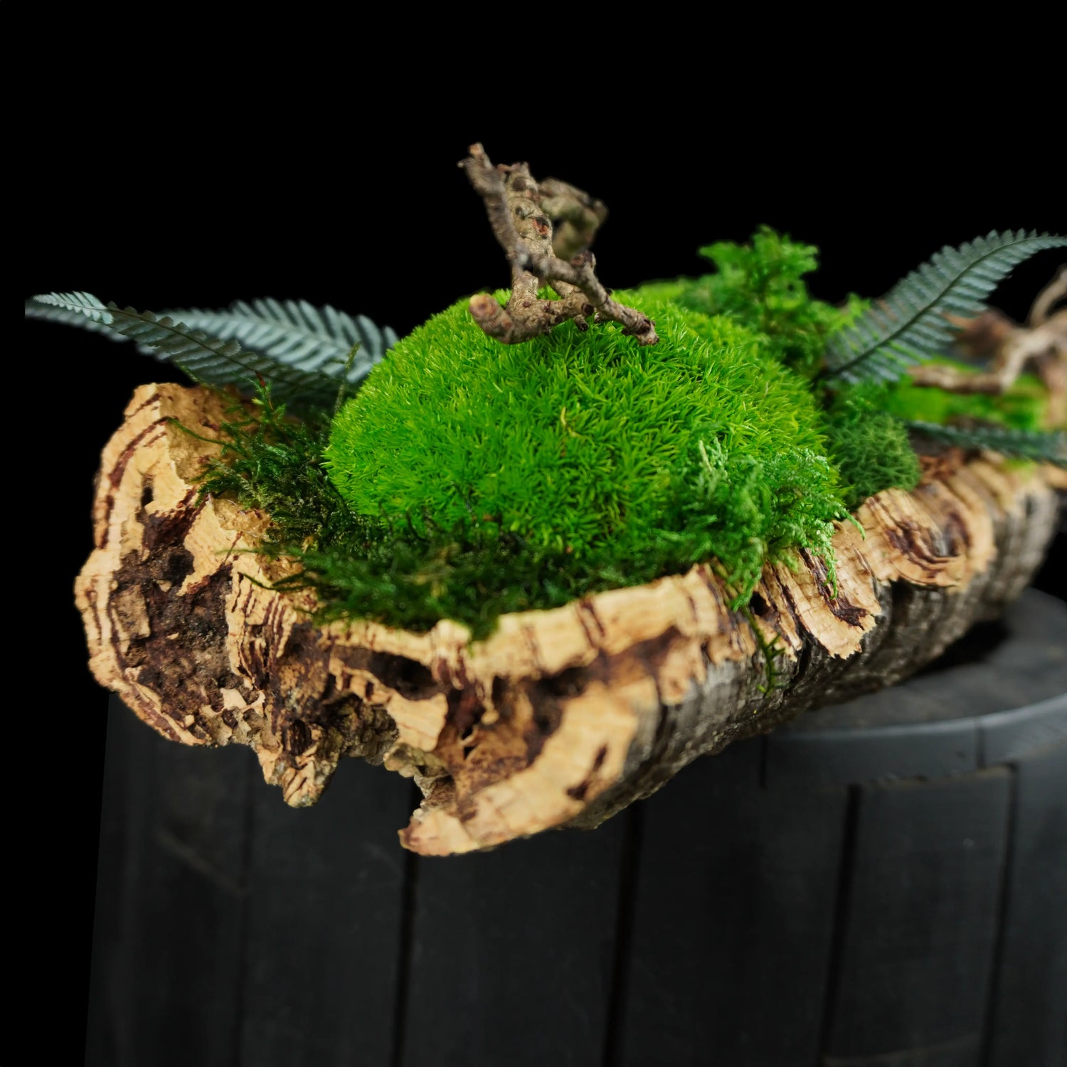 Moosgarten ‚Bubble‘ - handgemachte Tischdekoration aus stabilisierten grünen Moosen und Kork - Detailansicht.