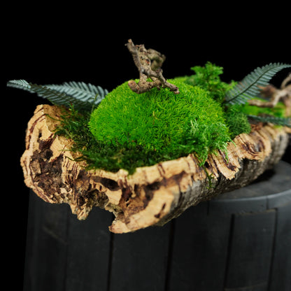 Moosgarten ‚Bubble‘ - handgemachte Tischdekoration aus stabilisierten grünen Moosen und Kork - Detailansicht.