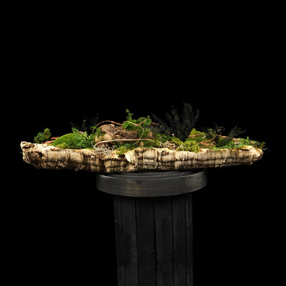 Moosgarten ‚Louisiana‘ - handgemachte Tischdekoration aus stabilisierten grünen Moosen, Pflanzen und Kork - Frontansicht.