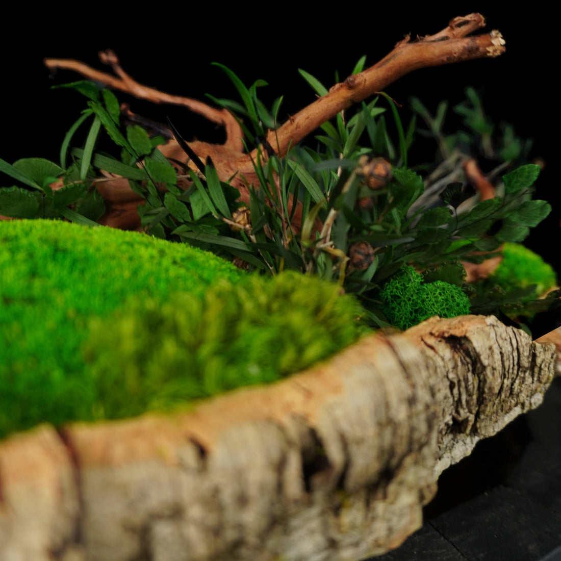 Moosgarten ‚River‘ - handgemachte Tischdekoration aus stabilisierten grünen Moosen, Pflanzen und Kork - Detailansicht.