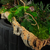 Moosgarten ‚Walden‘ - handgemachte Tischdekoration aus stabilisierten grünen Moosen, Pflanzen und Kork - Detailansicht.