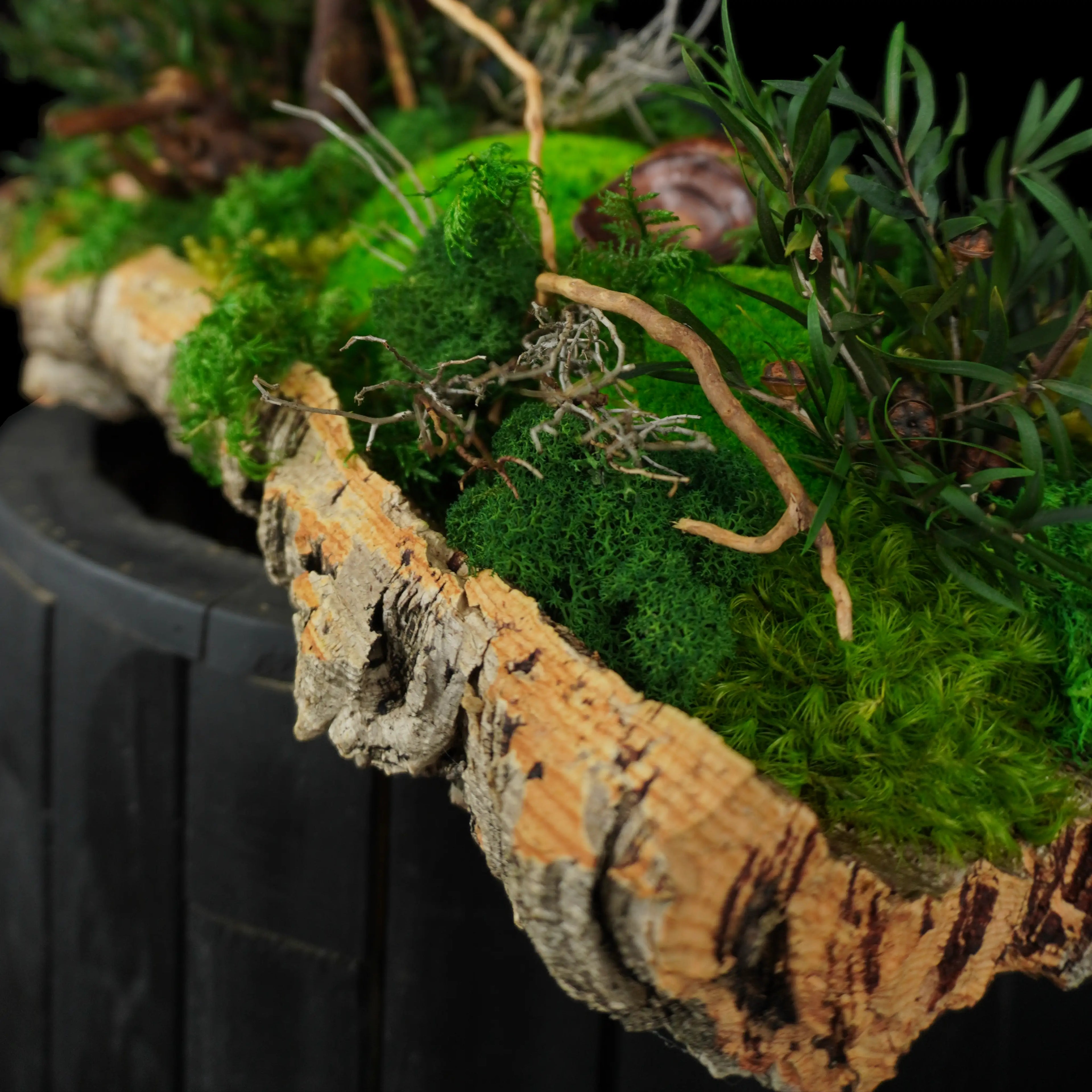 Moosgarten ‚Walden‘ - handgemachte Tischdekoration aus stabilisierten grünen Moosen, Pflanzen und Kork - Detailansicht.