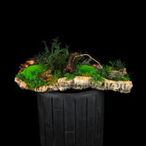 Moosgarten ‚Walden‘ - handgemachte Tischdekoration aus stabilisierten grünen Moosen, Pflanzen und Kork - Frontansicht.
