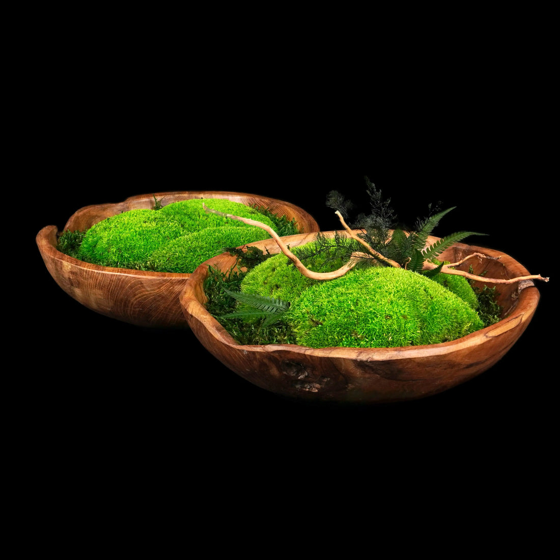 Zwei Moosschalen "Center“ aus echten Moosen, Farnen und edlem Holz mit und ohne vegetativer Gestaltung in der Frontansicht - eine ideale Tischdekoration für Innenräume.