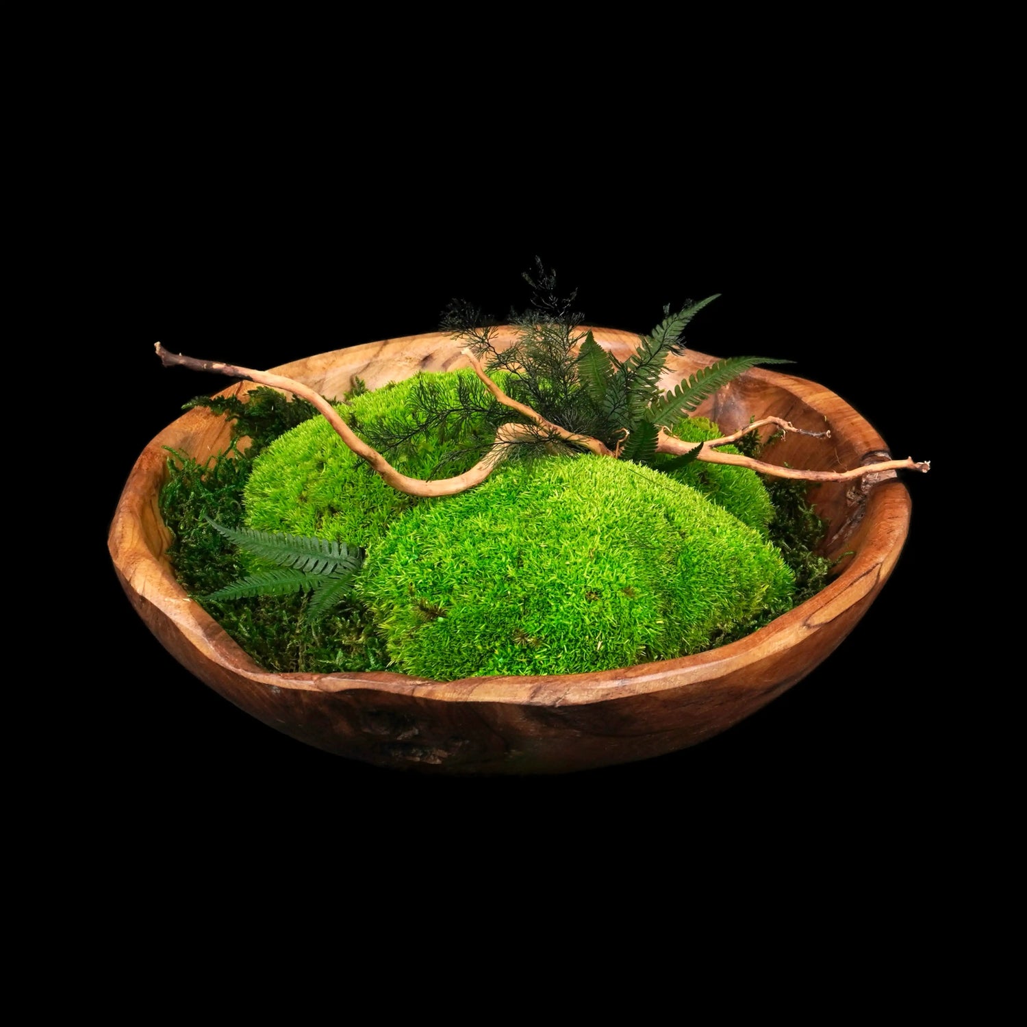 Moosschale "Center“ aus echten Moosen, Farnen und edlem Holz in der Frontansicht - eine ideale Tischdekoration für Innenräume.