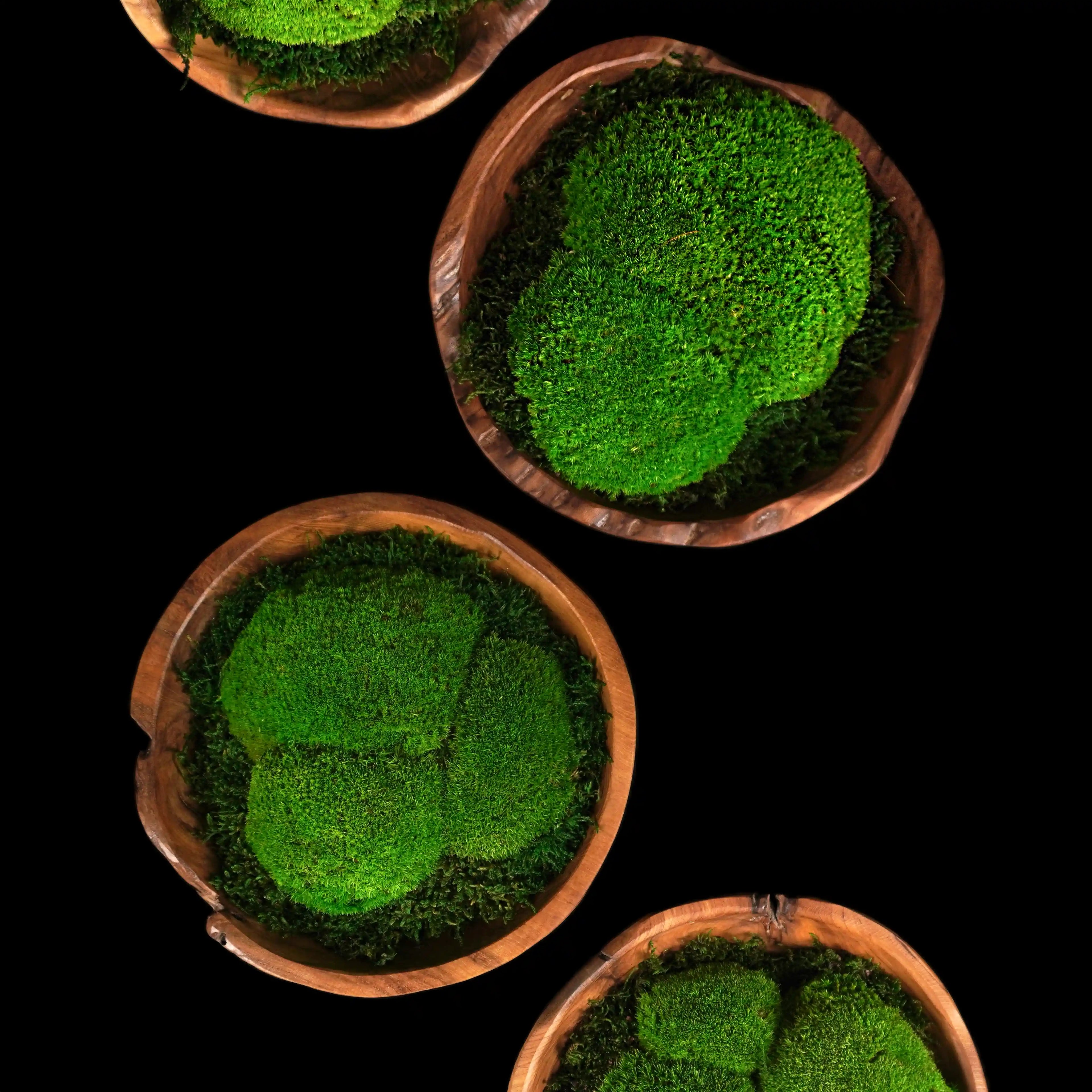 Moosschale "Center“ aus echten Moosen und edlem Holz aus der Vogelperspektive - eine ideale Tischdekoration für Innenräume.