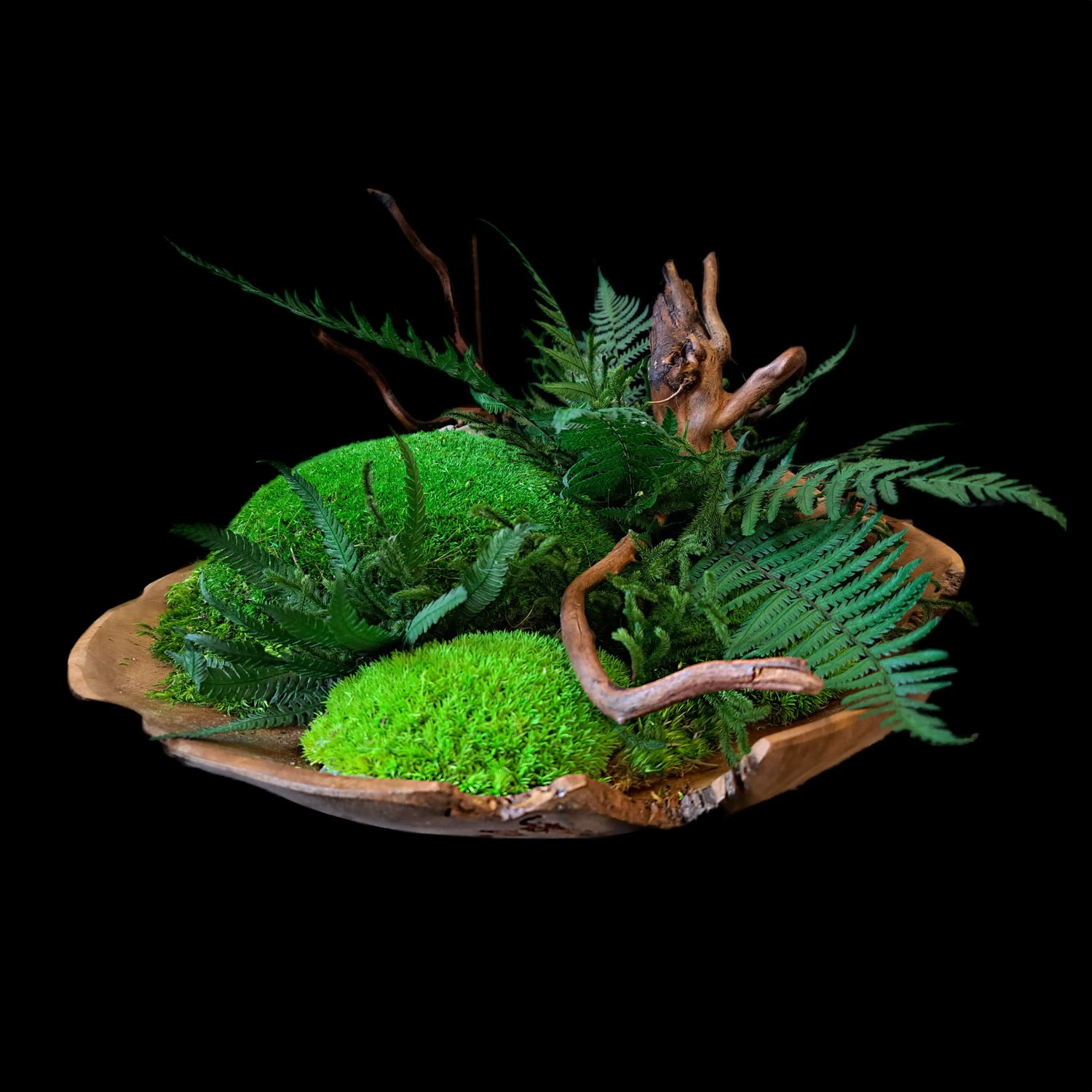 Moosschale "Fern" aus echten Moosen, Farnen, Wurzeln und edlem Holz  - eine ideale Tischdekoration für Innenräume - Frontansicht.